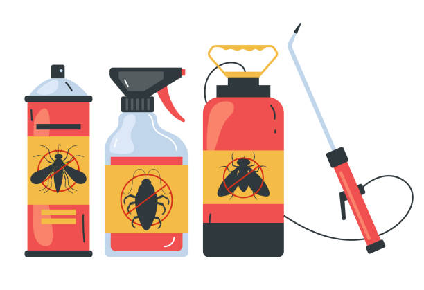 Wasp Removal Services in Dobson, NC
