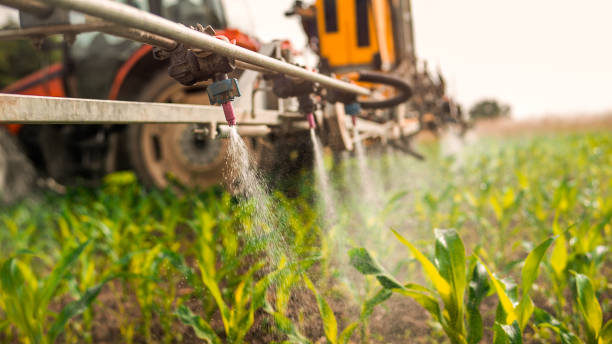 Reliable Dobson, NC Pest Control Solutions